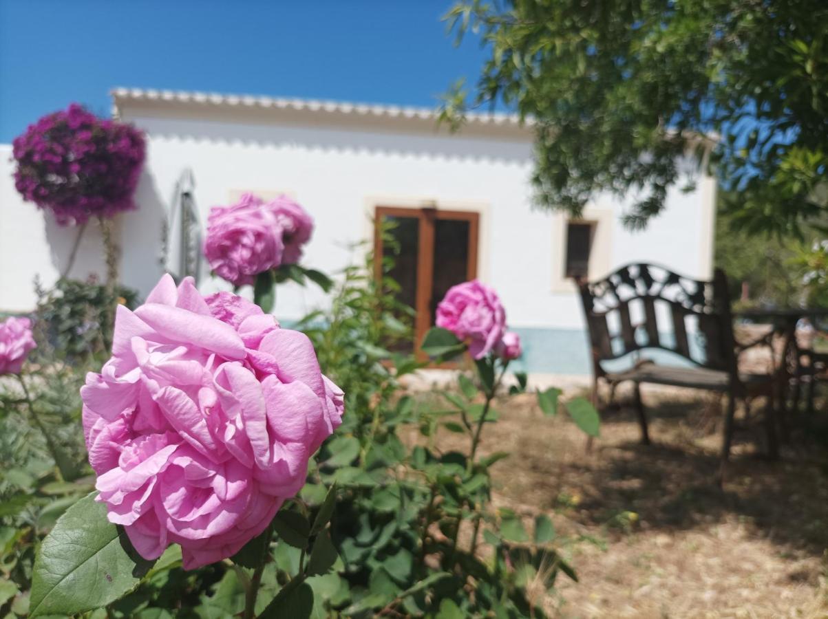Can Pep Pardal Sant Miquel de Balansat Buitenkant foto